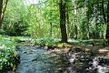 Springtime in Monaghan 2013 (27)